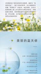 -东方美美容SPA会所