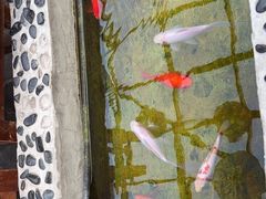 -丽江庭院之爱在路上(西单店)