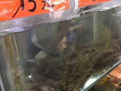 -崖口煲仔饭