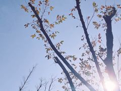 -安福路
