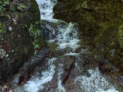 -本溪汤沟绿石谷森林公园