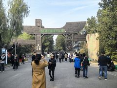 -溱湖国家湿地公园