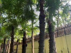 -徐家汇源景区-衡山公园