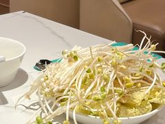 -川味堂·四川豆花(八卦岭店)