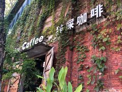 -猫屎咖啡(陶溪川店)