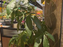 -半秋山西餐厅(襄阳万达店)