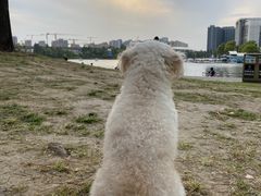 -美兰湖景区