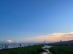-南汇新城海滩