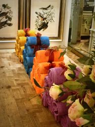 -Every Day Hair Studio