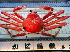 -蟹道乐(道顿堀本店)