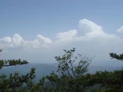 -王顺山国家森林公园
