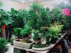 -双季花艺园艺市场(浦东店)
