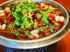 -老江南春·中国龙菜(衡山路店)