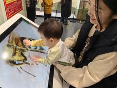 -国家自然博物馆