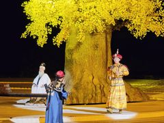 -鼎盛王朝康熙大典实景演出