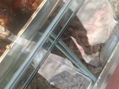 -张记卤菜店(三条巷店)