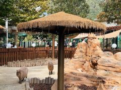 -大连森林动物园