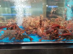 -大润发(国兴店)