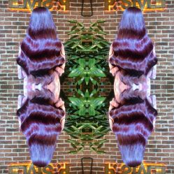 发型师-P.STYLE 派斯造型