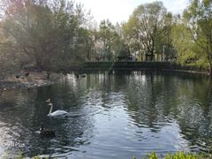 -长白岛森林公园