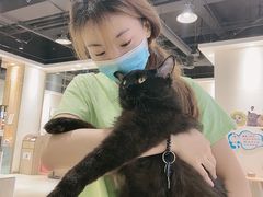 -藏猫猫咖啡主题馆(中央大道店)