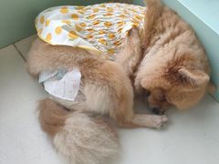 -怪兽屋·羊驼·猫咖·狗咖(俊华广场店)