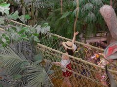 -正佳雨林生态植物园