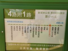 -莫里热带雨林景区