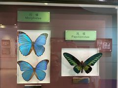 -上海昆虫博物馆