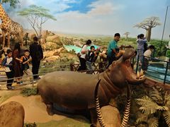 -陕西自然博物馆