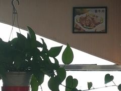 -竹青胶东摔面(黄岛开发区店)