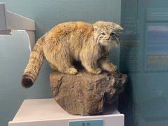 -国家自然博物馆