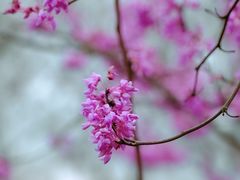 -天台山赤城山景区