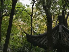 -西泠印社