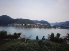 -午潮山国家森林公园
