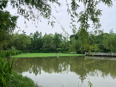 -洋湖国家湿地公园