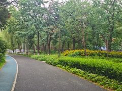 -万泉公园