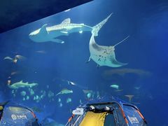 -长隆海洋王国-海洋大街餐厅