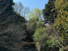 -杭州半山国家森林公园