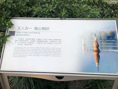 -西湖外事游船(花港观鱼码头)