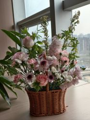-雪绒花月子会所(万安店)