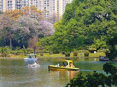 -晓港公园