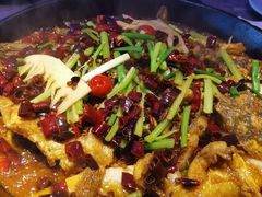 -老板恋上鱼(恒隆广场店)