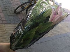 -秦美花卉(天朗·莱茵小城2期店)