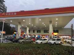 -中国石油加油站(严桥路站)