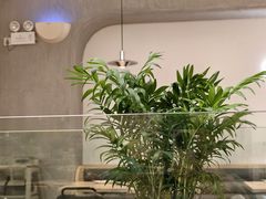 -卡朋西餐(东方广场店)