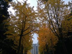 -苏州河梦清园环保主题公园