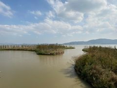 -漩门湾国家湿地公园