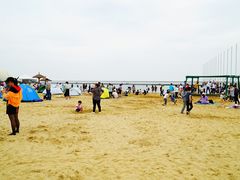 -碧海金沙