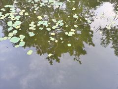 -天津金海湖